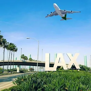 Lax 미국