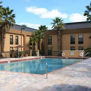 Hotel Palms